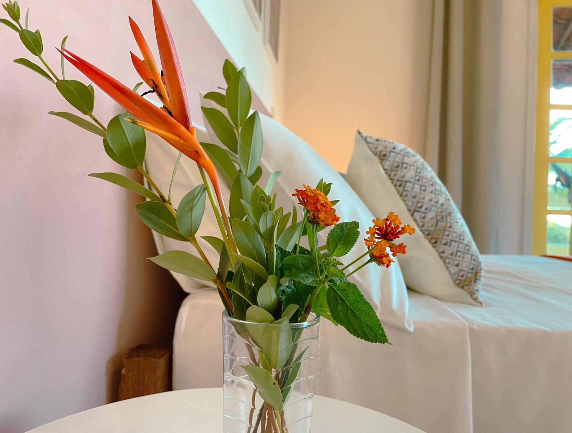 Canto Do Mar - Apartamentos E Casa Com Vista Pro Mar - 쿠무루샤치바 외부 사진